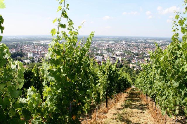 Stadtmarketing Bensheim